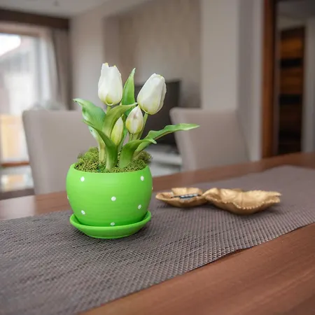 Relax Wellness Komlóska