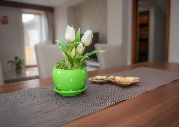 Relax Wellness Komloska